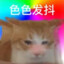 来训练靶场看我击靶吗
