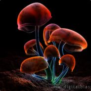 3-D - steam id 76561197971028942