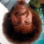 Upside Down Bob Ross