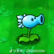 寒毒射手想射你