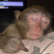 эмммммммммм