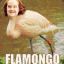 flaMongo