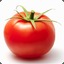 Clever Tomatoe