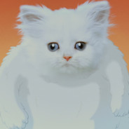 也無风雨也無晴