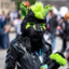 Limbo_the_wolf
