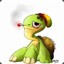 [pDg} Turtle
