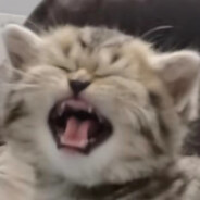 想想宗介会怎么做