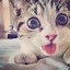 Н_яшНЫй_КОтиК