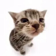 lighttriadbeliever27