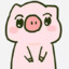 PinkPiggy