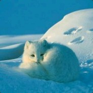 Big Avatar