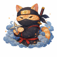 NinjaSarman
