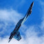 Flanker
