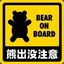 Bear