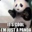 That One Panda