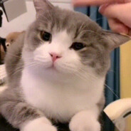 原神崩坏星穹铁道高手