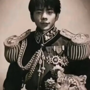 鲜衣怒马少年郎谁人不识理塘王