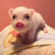 爱只能在回忆里完整~