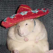 ThatRAT