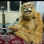 сынище таверны