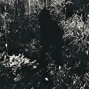 没血了就会死