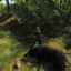 SLY_WOLF_-