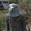 Pigeon man
