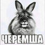 Chervyak
