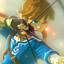 Link