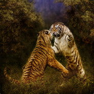 高清无码午夜场