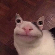 三百多斤的有趣灵魂