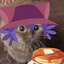 [PANCAKE-CAT]