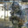 DITIARMY2021