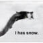 Snowcat