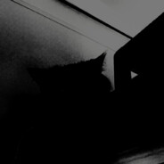 没钱吃饭的小十二