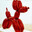 balloon dog