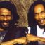 israel vibration