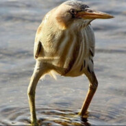 w1nter - steam id 76561199385926121