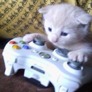 neros - steam id 76561199760160370