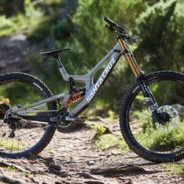 凶悍无比的悍匪小学生