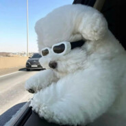 残局尚且有胜算，而爱