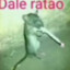 Dale Ratão