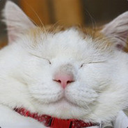 色字头上一把刀