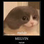 Melvin