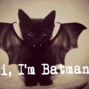 Batman! Mamkoeb