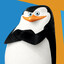 Skipper🐧