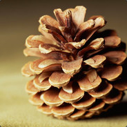 Pretty much just a pine cone