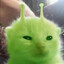 glorp