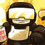 bumbles
