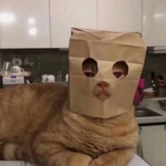 我是党员我先上